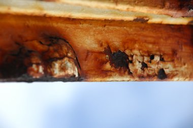 Eski Metal Doku Makro Çekimi