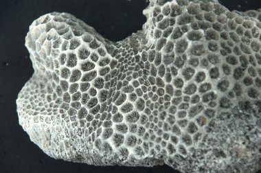 Çiğ taş dokusu yakın plan