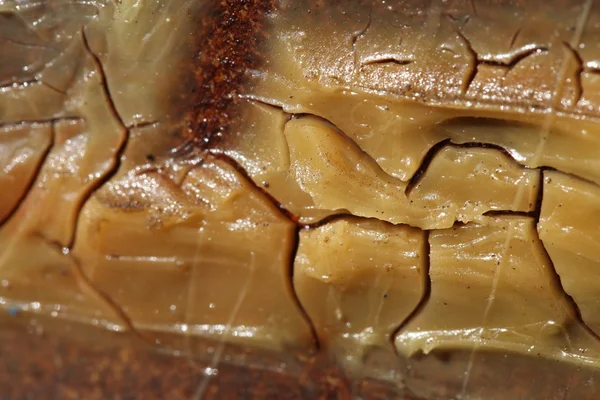 soyut doku arka plan