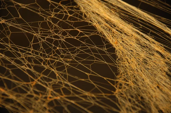 soyut doku arka plan