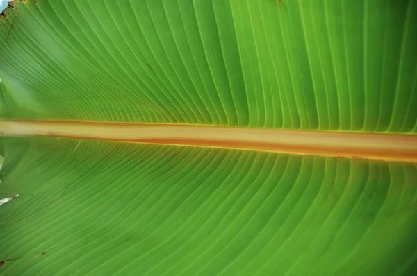 Textura metálica abstrata — Fotografia de Stock