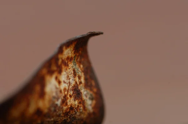 Textura metálica abstrata — Fotografia de Stock