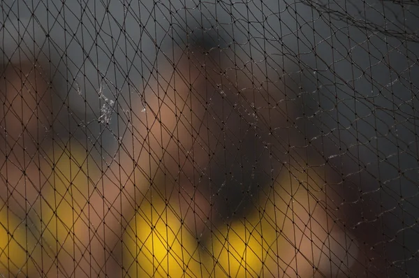 Metal Fence Net Closeup — Stock Photo, Image