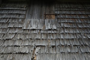 Eski ahşap doku yakın çekim
