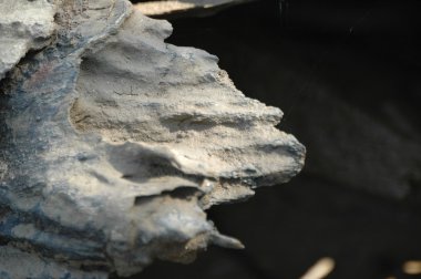 Eski ahşap doku yakın çekim