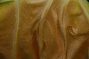 soyut doku arka plan