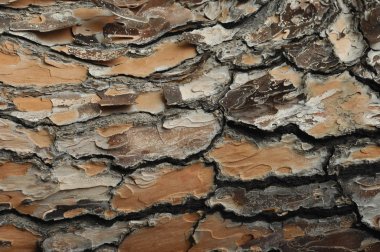 soyut doku arka plan