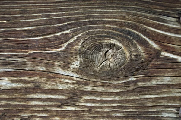 Textura de madera vieja primer plano —  Fotos de Stock