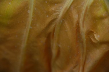 soyut doku arka plan