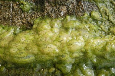 soyut doku arka plan