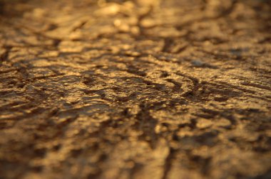 Soyut duvar doku portre