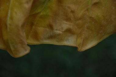 Soyut doku arka plan bakış