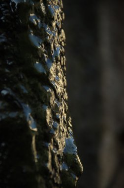 Soyut duvar doku portre