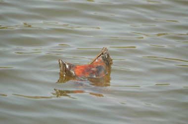 Soyut doku arka plan bakış