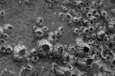 Soyut doku arka plan bakış