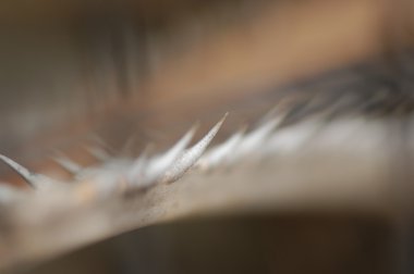 Soyut doku arka plan bakış