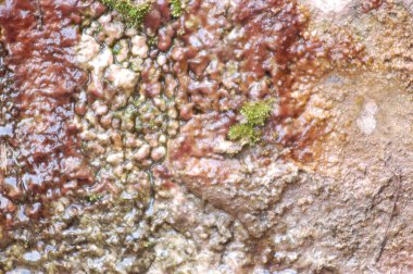 Soyut duvar doku portre