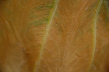 Soyut doku arka plan bakış