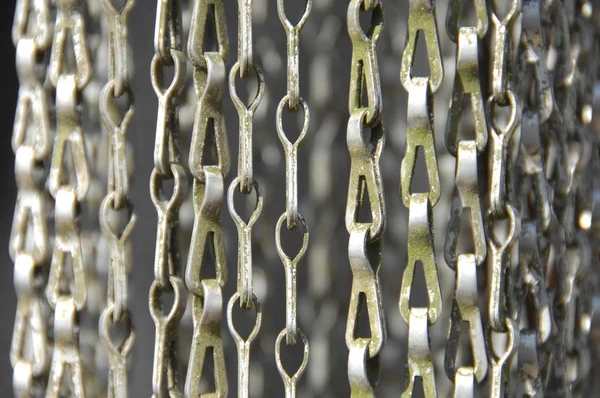 ev tutun zinciri portre