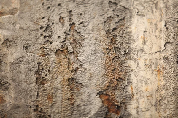 Closeup textura vinobraní zeď — Stock fotografie