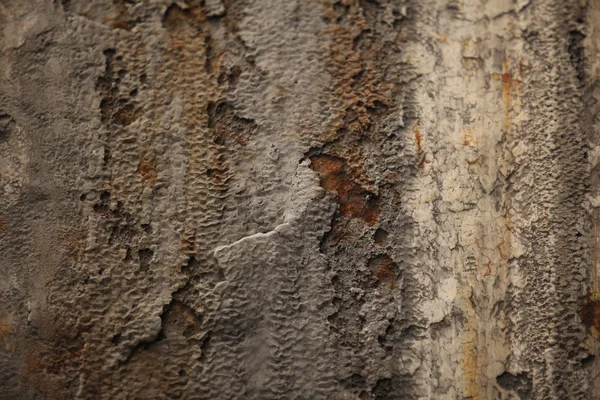 Closeup textura vinobraní zeď — Stock fotografie