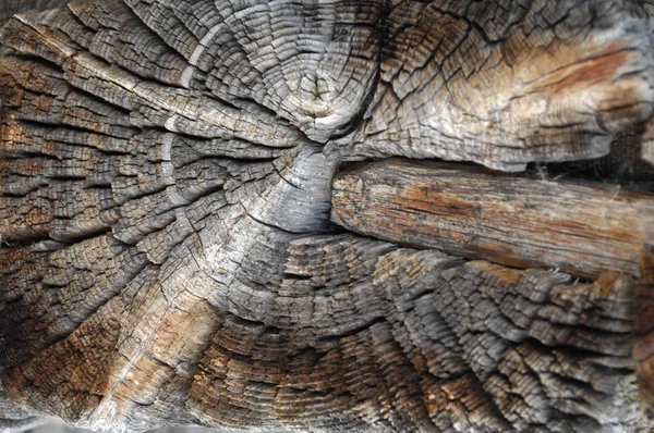 Textura de madera vieja de cerca — Foto de Stock
