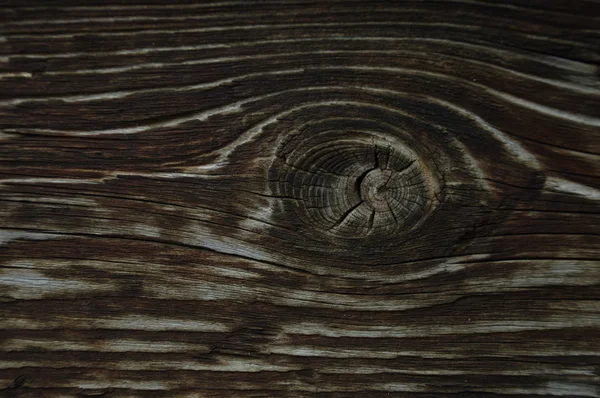 Vecchio legno texture primo piano — Foto Stock