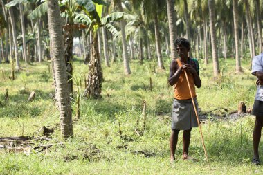 Tarlalardaki Hintli Çiftçi
