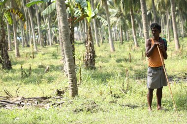 Tarlalardaki Hintli Çiftçi