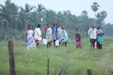 Tarlalardaki Hintli Çiftçi