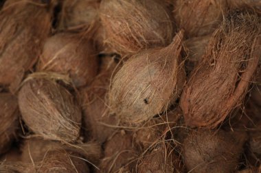 Bir Hindistancevizinin Yakın Çekimi