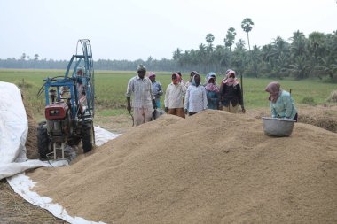 Tarlalardaki Hintli Çiftçiler