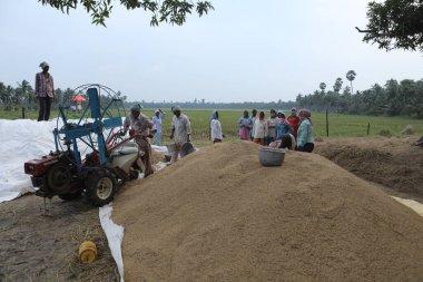 Tarlalardaki Hintli Çiftçiler