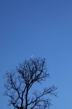 Gökyüzünde ay battı