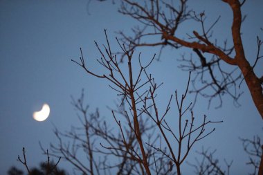 Gökyüzünde ay battı