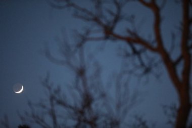 Gökyüzünde ay battı