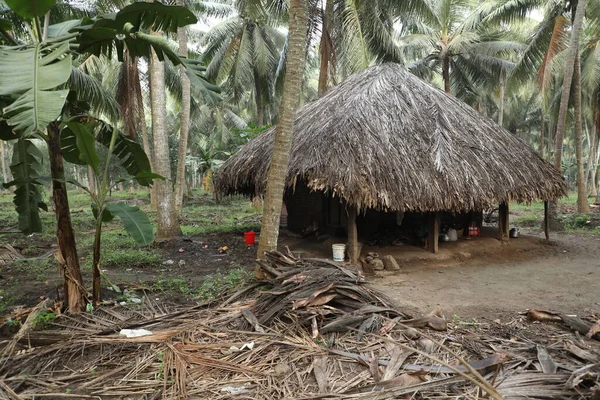 Hut in a Fields rural area