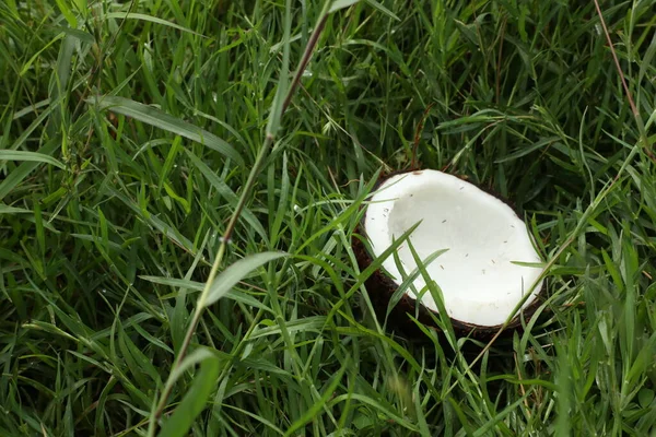 Coconut Mematahkan Sepotong Closeup — Stok Foto