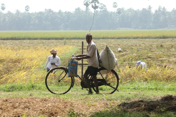 Agriculteur Indien Fields — Photo