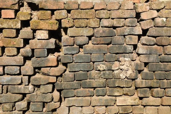 古い石壁の質感 — ストック写真