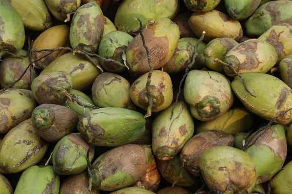 Primo Piano Una Noce Cocco — Foto Stock