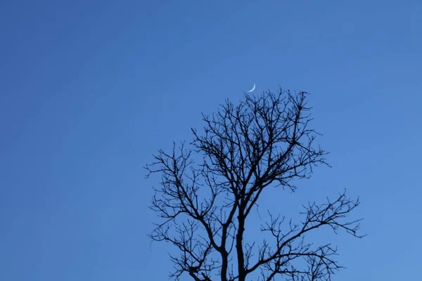 Lua Céu — Fotografia de Stock