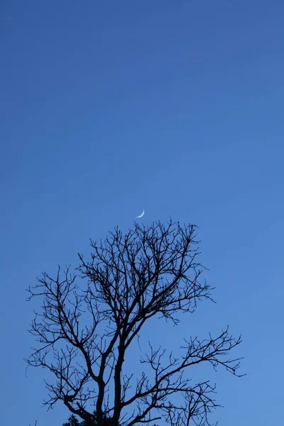 月亮落在天空中 — 图库照片