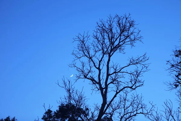 Lua Céu — Fotografia de Stock