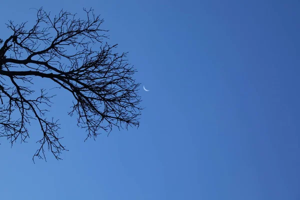 Lua Céu — Fotografia de Stock