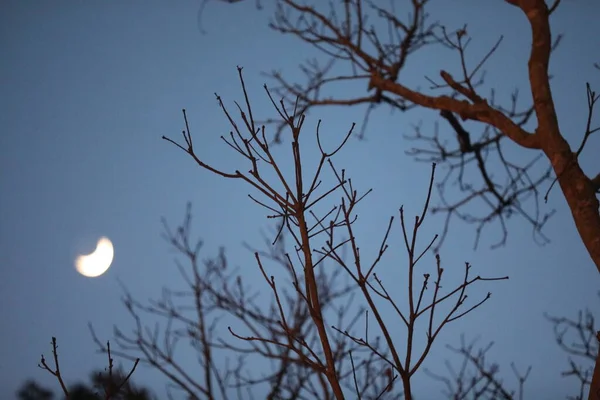 Gökyüzünde ay battı