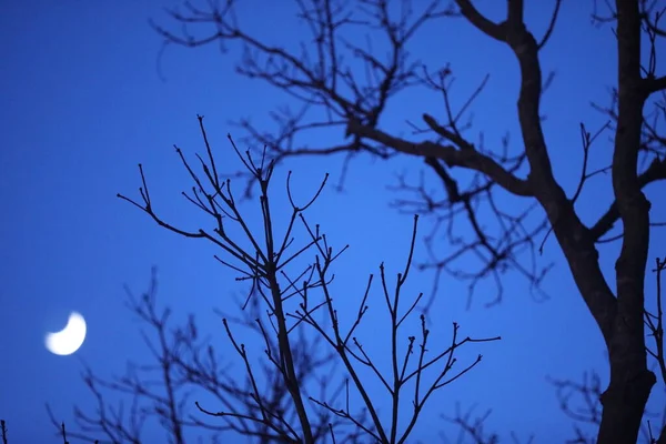 Gökyüzünde ay battı