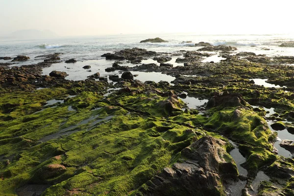 Green Moss Stone — Stock Photo, Image