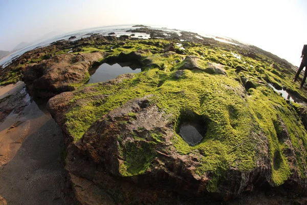 Green Moss Stone — Stock Photo, Image