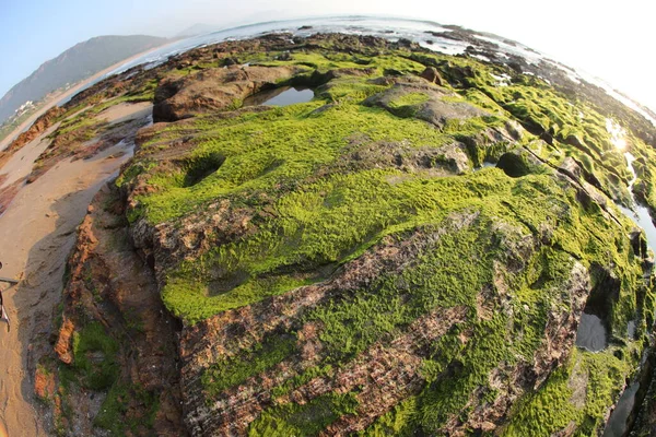 Green Moss Stone — Stock Photo, Image